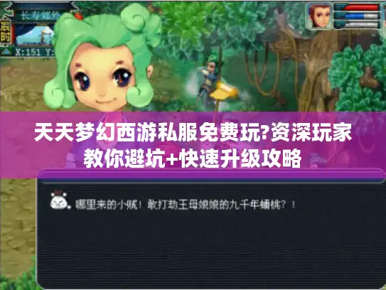 天天梦幻西游私服免费玩?资深玩家教你避坑+快速升级攻略