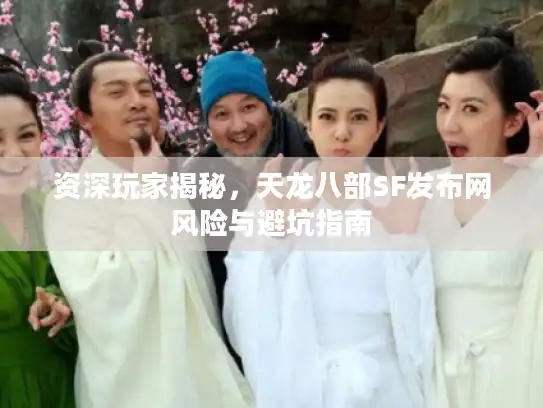 资深玩家揭秘，天龙八部SF发布网风险与避坑指南