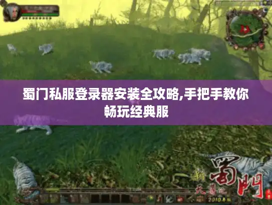 蜀门私服登录器安装全攻略,手把手教你畅玩经典服