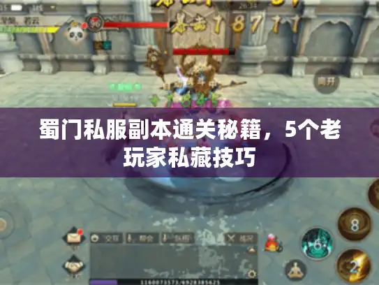 蜀门私服副本通关秘籍，5个老玩家私藏技巧