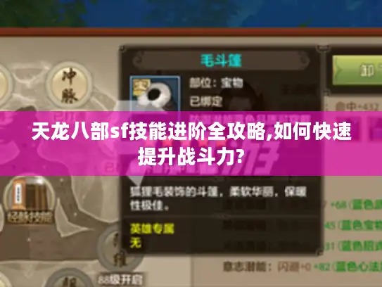 天龙八部sf技能进阶全攻略,如何快速提升战斗力?
