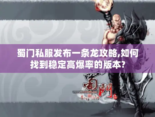 蜀门私服发布一条龙攻略,如何找到稳定高爆率的版本?