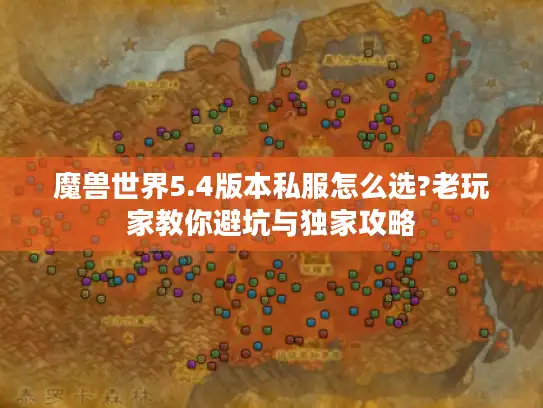魔兽世界5.4版本私服怎么选?老玩家教你避坑与独家攻略