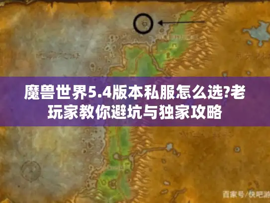 魔兽世界5.4版本私服怎么选?老玩家教你避坑与独家攻略
