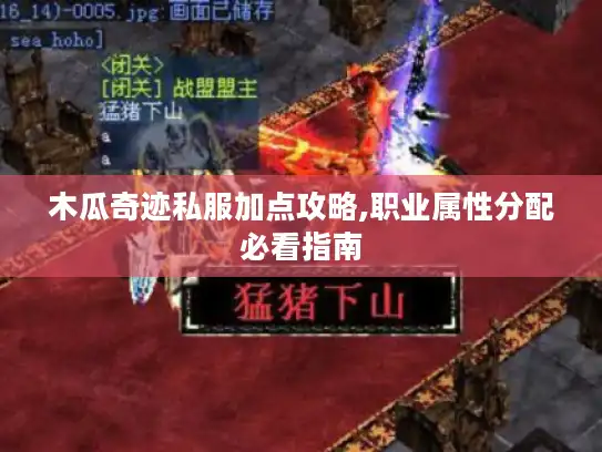 木瓜奇迹私服加点攻略,职业属性分配必看指南
