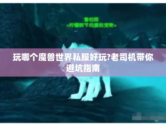 玩哪个魔兽世界私服好玩?老司机带你避坑指南