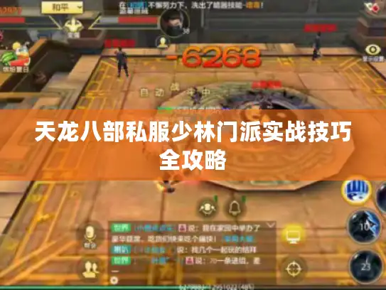 天龙八部私服少林门派实战技巧全攻略