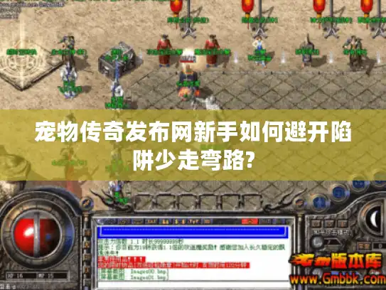 宠物传奇发布网新手如何避开陷阱少走弯路?