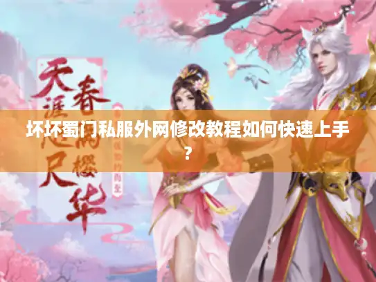 坏坏蜀门私服外网修改教程如何快速上手?