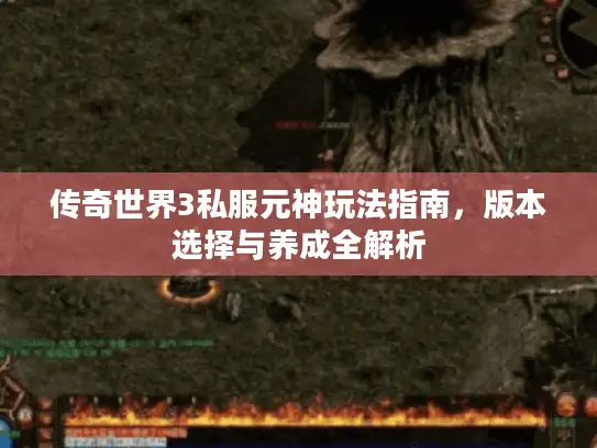 传奇世界3私服元神玩法指南，版本选择与养成全解析