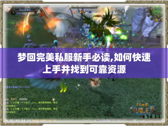 梦回完美私服新手必读,如何快速上手并找到可靠资源