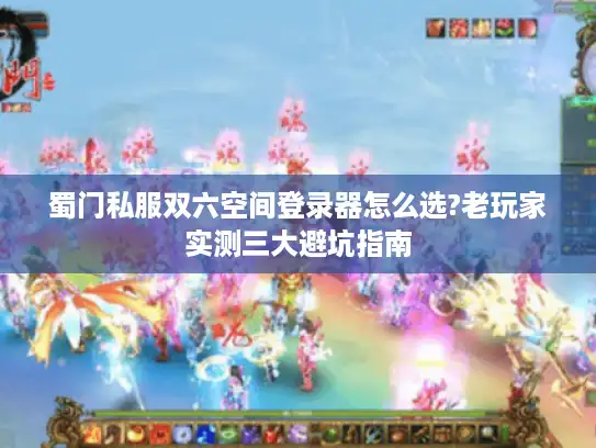 蜀门私服双六空间登录器怎么选?老玩家实测三大避坑指南