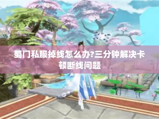 蜀门私服掉线怎么办?三分钟解决卡顿断线问题