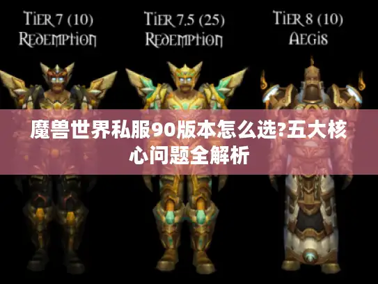 魔兽世界私服90版本怎么选?五大核心问题全解析