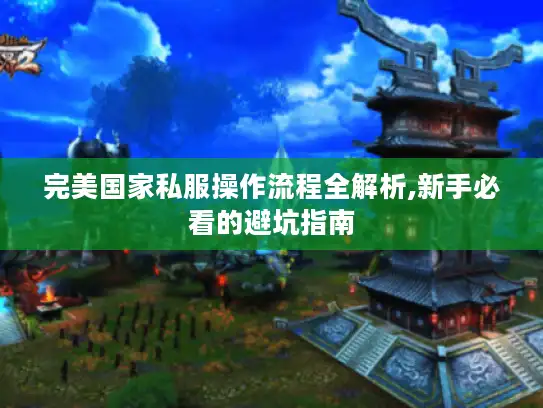 完美国家私服操作流程全解析,新手必看的避坑指南