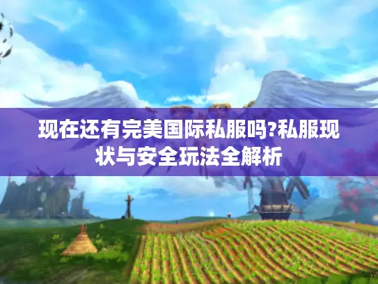 现在还有完美国际私服吗?私服现状与安全玩法全解析 现在还有完美国际私服吗?私服现状与安全玩法全解析
