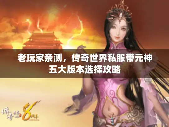 老玩家亲测，传奇世界私服带元神五大版本选择攻略