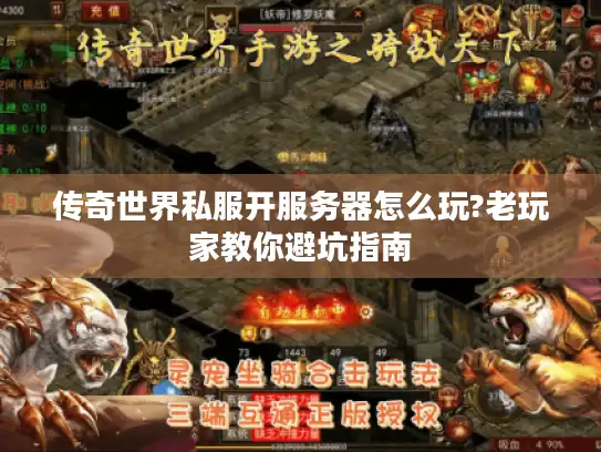 传奇世界私服开服务器怎么玩?老玩家教你避坑指南