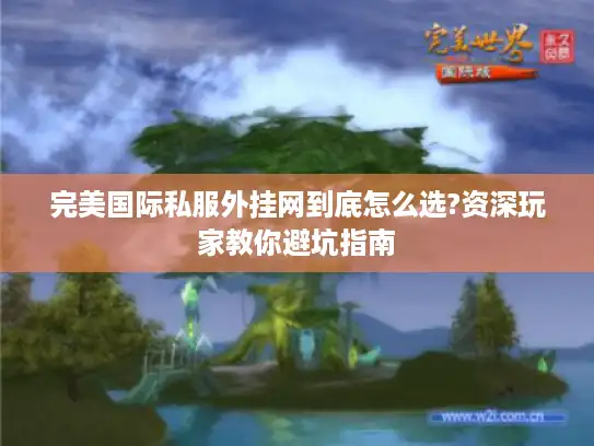完美国际私服外挂网到底怎么选?资深玩家教你避坑指南 完美国际私服外挂网到底怎么选?资深玩家教你避坑指南