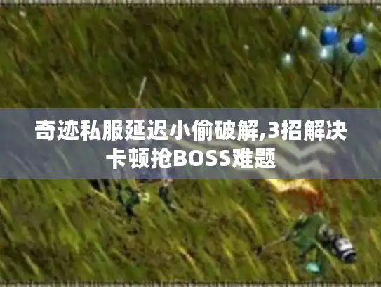 奇迹私服延迟小偷破解,3招解决卡顿抢BOSS难题 奇迹私服延迟小偷破解,3招解决卡顿抢BOSS难题