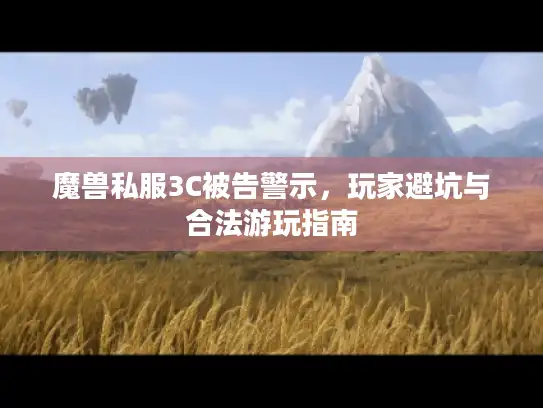 魔兽私服3C被告警示，玩家避坑与合法游玩指南