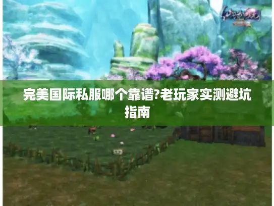 完美国际私服哪个靠谱?老玩家实测避坑指南
