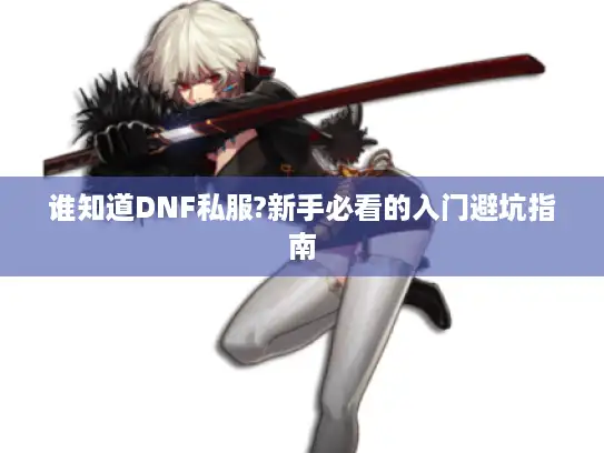 谁知道DNF私服?新手必看的入门避坑指南