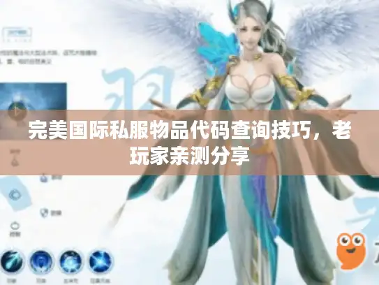 完美国际私服物品代码查询技巧,老玩家亲测分享 完美国际私服物品代码查询技巧,老玩家亲测分享
