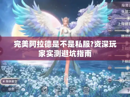 完美阿拉德是不是私服?资深玩家实测避坑指南