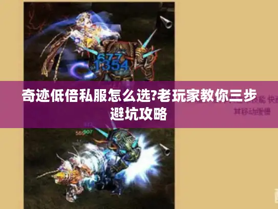 奇迹低倍私服怎么选?老玩家教你三步避坑攻略 奇迹低倍私服怎么选?老玩家教你三步避坑攻略