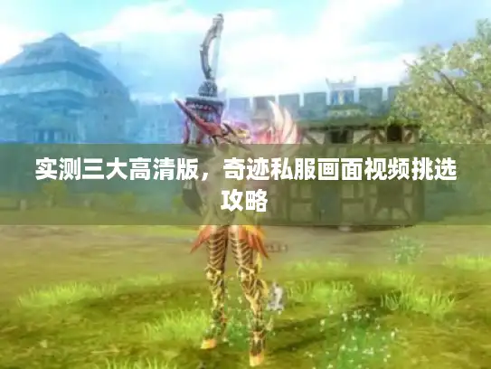 实测三大高清版，奇迹私服画面视频挑选攻略