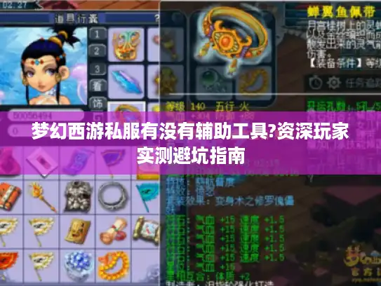 梦幻西游私服有没有辅助工具?资深玩家实测避坑指南