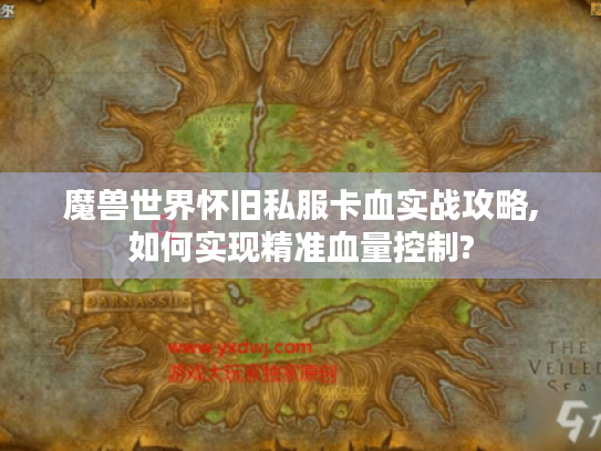魔兽世界怀旧私服卡血实战攻略,如何实现精准血量控制?