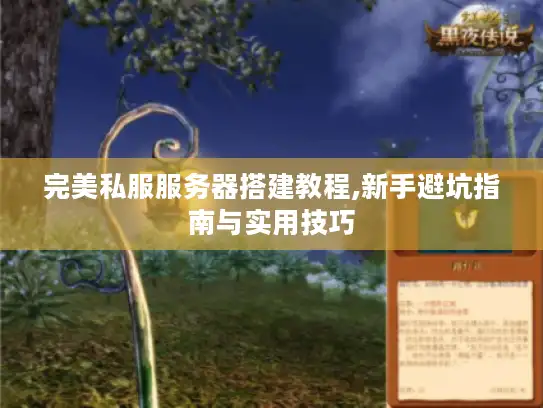 完美私服服务器搭建教程,新手避坑指南与实用技巧