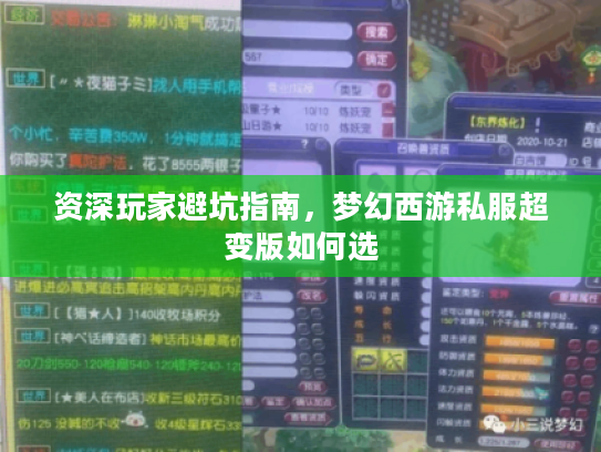 资深玩家避坑指南，梦幻西游私服超变版如何选