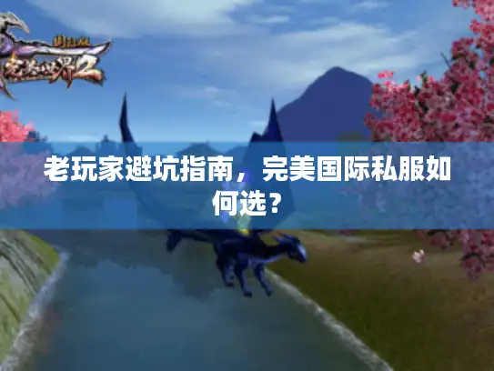 老玩家避坑指南，完美国际私服如何选？