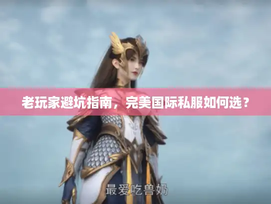 老玩家避坑指南，完美国际私服如何选？