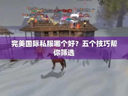 完美国际私服哪个好？五个技巧帮你筛选