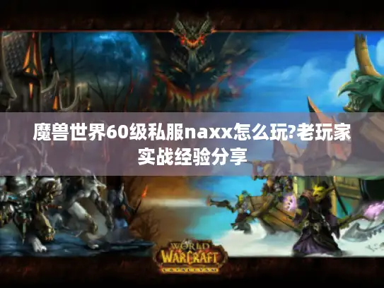 魔兽世界60级私服naxx怎么玩?老玩家实战经验分享 魔兽世界60级私服naxx怎么玩?老玩家实战经验分享