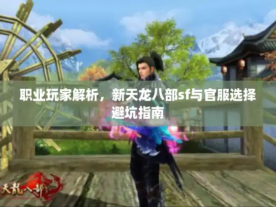 职业玩家解析,新天龙八部sf与官服选择避坑指南 职业玩家解析,新天龙八部sf与官服选择避坑指南
