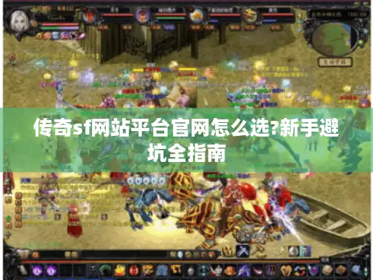 传奇sf网站平台官网怎么选?新手避坑全指南