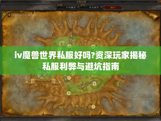iv魔兽世界私服好吗?资深玩家揭秘私服利弊与避坑指南