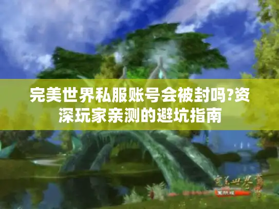 完美世界私服账号会被封吗?资深玩家亲测的避坑指南