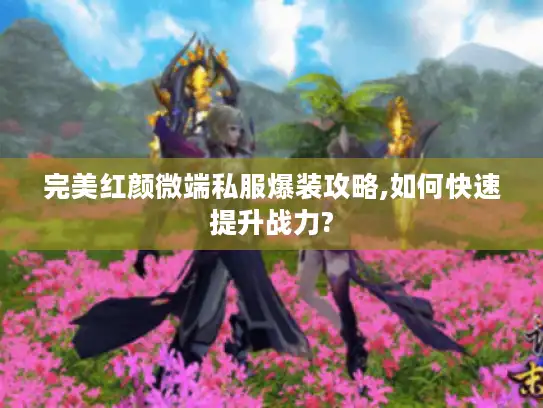 完美红颜微端私服爆装攻略,如何快速提升战力?