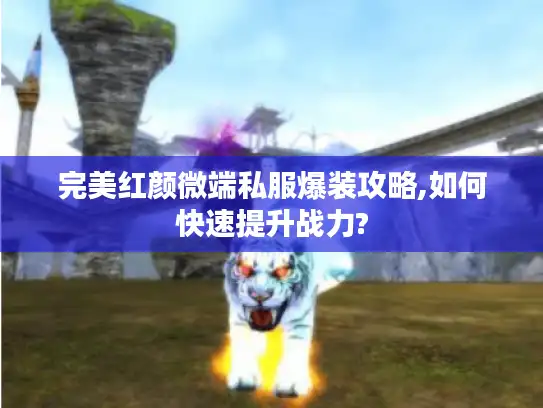 完美红颜微端私服爆装攻略,如何快速提升战力?