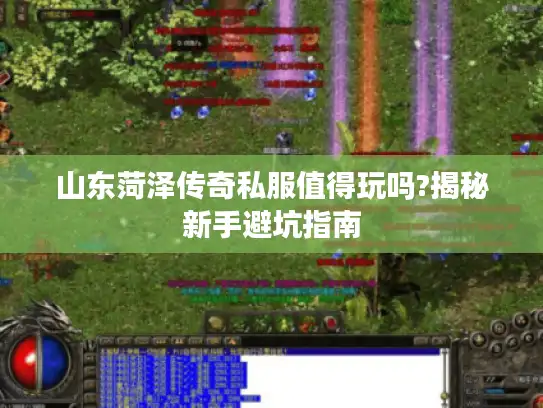 山东菏泽传奇私服值得玩吗?揭秘新手避坑指南 山东菏泽传奇私服值得玩吗?揭秘新手避坑指南
