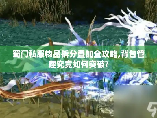 蜀门私服物品拆分叠加全攻略,背包管理究竟如何突破? 蜀门私服物品拆分叠加全攻略,背包管理究竟如何突破?