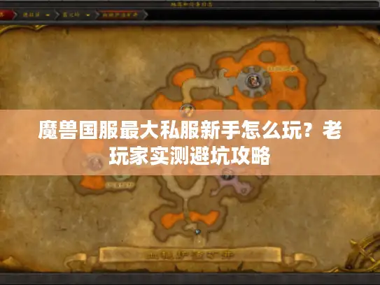 魔兽国服最大私服新手怎么玩？老玩家实测避坑攻略