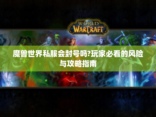 魔兽世界私服会封号吗?玩家必看的风险与攻略指南