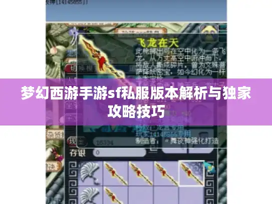 梦幻西游手游sf私服版本解析与独家攻略技巧